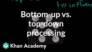 Bottomup vs topdown processing  Processing the Environment  MCAT  Khan Academy [upl. by Jan422]