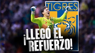 ¡Tigres tiene a su PRIMER REFUERZO para el Apertura 2024  Noticias de Tigres hoy [upl. by Gnuhn]