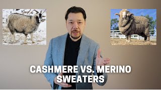 Merino Wool vs Cashmere Some Pros and Cons [upl. by Reggy]