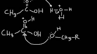 Esterification Mechanism making an ester from a carboxylic acid and an alcohol [upl. by Petrine]