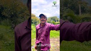 testimonio agro campo agricultura agropecuario apoyo cultivo colombia boyacá cundinamarca [upl. by Aihsyt]