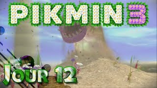 Lets Play FR HD Pikmin 3  Jour 12 [upl. by Adin]