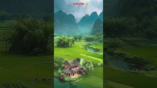 Green nature view shortsviral love beautyfulnature [upl. by Galven]