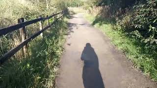 Scenic beautiful nature walk Pennington flash country Park ❤️ Britain [upl. by Thane]