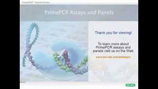 PrimePCR™ Assays Build a Custom Plate Blank Template [upl. by Dyun]