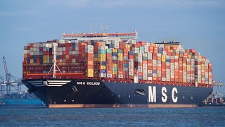 MSC GULSUN  New worlds largest containership departing the port of felixstowe 7919 [upl. by Bruns249]