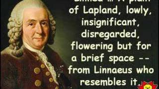 Creative Quotations from Carl Linnaeus for May 23 [upl. by Gonagle]