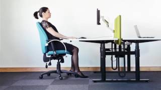 Importance of Posture by Ocee Ergonomics [upl. by Bissell]