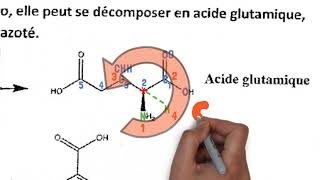 15B Annale corrigée PASS Les fonctions chimiques simples PASS LAS médecine chimie biochimie [upl. by Hainahpez]