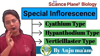 Special Inflorescence By Anju maam scienceplanetbiology [upl. by Asiuol]