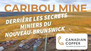 LOr Caché du NouveauBrunswick  À la Découverte des Trésors Miniers [upl. by Hillel]