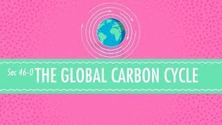 The Global Carbon Cycle Crash Course Chemistry 46 [upl. by Idaline984]