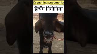 Drenching pneumonia l Dr umar khan [upl. by Alliuqet]