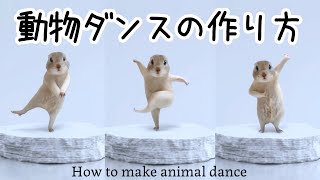 流行りの猫ダンスの作り方動物を踊らせる方法【Photo Dance】 [upl. by Salocin]