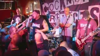 COCKNEY REJECTS  100 CLUB 2016 ALL THEIR HITS Full HD [upl. by Irpac999]