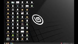 Review Linux Mint 22 Cinnamon [upl. by Heymann424]