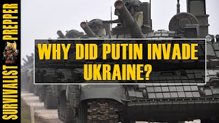 Why Did Putin Invade Ukraine a Geographical Analysis [upl. by Cyrie]