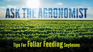 AskTheAgronomist Foliar Feeding Soybeans [upl. by Delle]