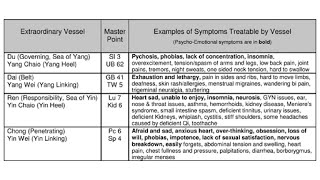 DIAGNOSIS ACCORDING TO 8 EXTRAORDINARY VESSELS [upl. by Shira]