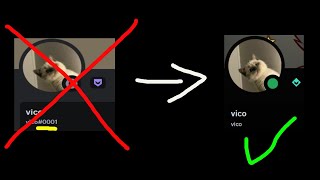 Discord Username update be like [upl. by Anomis615]