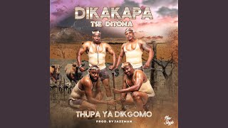 Thupa ya dikgomo [upl. by Harl]