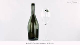 Riedel Performance Champagne Glass [upl. by Vanthe]