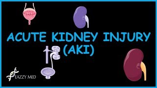 Renal Failure Pathophysiology Basic Features of Acute and Chronic Renal Failure [upl. by Aihpos]