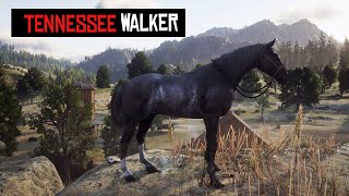 How to Get the Tennessee Walker Black Rabicano Horse in RDR2 [upl. by Dominick]