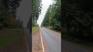 whidbey Island 🇺🇸 paseo en bicicleta [upl. by Seka]