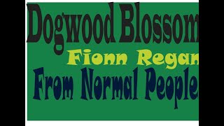 Dogwood Blossom  Fionn Regan  Lyrical [upl. by Ennovahc]