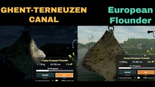 Fishing Planet GhentTerneuzen Canal Netherlands European Flounder Trophy amp Unique [upl. by Regan]