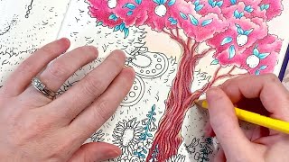 Coloring a Tree Trunk ⎢Adult Coloring Tutorial⎢Tales from the Witchs Cottage by Hanna Karlzon [upl. by Dolly]