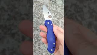 Spyderco Paramilitari 3 [upl. by Neelrahs]