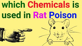 Chemicals in Rat Poison  Best Rat poisons  Rat control  Chemicals used in Rat poision [upl. by Stutsman203]