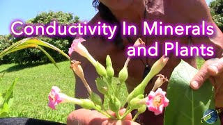 Conductivity In Minerals and Plants  Dr Robert Cassar [upl. by Eetsirhc667]