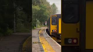 150219 working Liskeard to Looe departing Liskeard 15 Oct 2024 [upl. by Isayg]