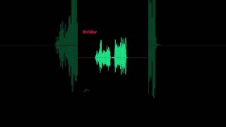 Stridor Lung Sounds [upl. by Scibert509]