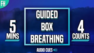 Guided Box Breathing  5 Minute Meditation 4444 [upl. by Ikcir315]