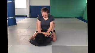 25 Reverse Kimura Armlock to Triangle Choke and Baratoplata [upl. by Gamages203]