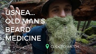 USNEA Old Mans Beard Medicine  w Yarrow Willard  Harmonic Arts [upl. by Meibers]