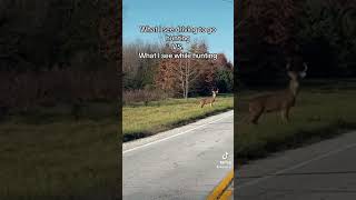 Why is it like this hunting deer deerhunting outdoors buck whitetail bowhunting rut [upl. by Refannej]