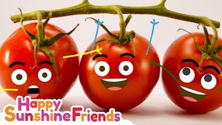 Potato Tomato Song  Educational Video for parents and teachers [upl. by Jsandye]