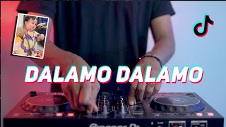 DJ DALAMO DALAMO VIRAL TIKTOK 2022 [upl. by Dyolf526]