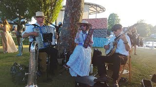 FB Pocket Orchestra Live at Henley Festival 2018 with new wooden W37 Melodion [upl. by Lehcor289]