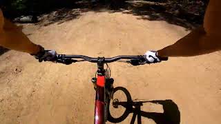 2020 Vitus Nucleus VR Hardtail Mountain Bike Jumps [upl. by Suruat724]