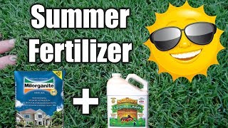 Best Summer Fertilizer for Lawns [upl. by Attenor]