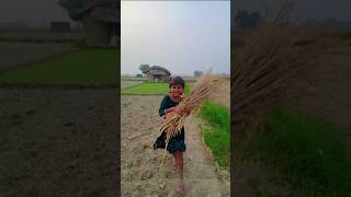 Baliye de mukhde Dil lalcawe 🥰😘shortsfeed trending shorts viralvideo paisaa carensi [upl. by Delaine791]