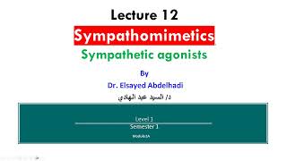 Lecture 12 Sympathetic Agonists  Dr Elsayed Abdelhad i 2023  2024 [upl. by Ruon556]