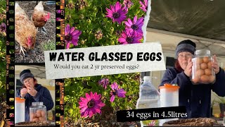 PRESERVING ORGANIC EGGS Water Glassed Eggs is a Homesteading favourite offgridlife aussielife [upl. by Barnebas529]