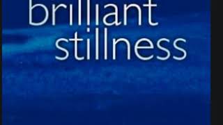 Perfect Brilliant Stillness AUDIOBOOK FULL David Carse  Ramesh Balsekar  Eckhart Tolle [upl. by Adrien428]